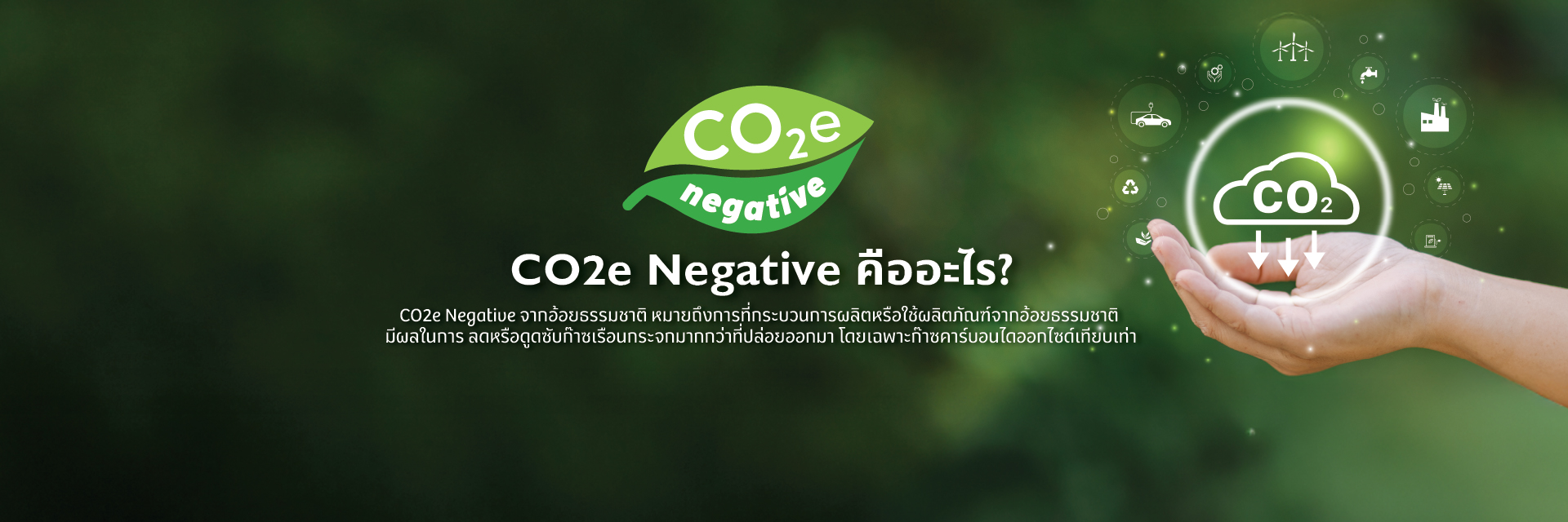 TSM-WEB-BANNER-CO2e.jpg